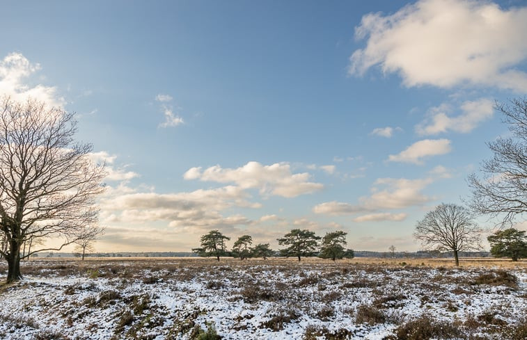 Natuurhuisje in Doldersum