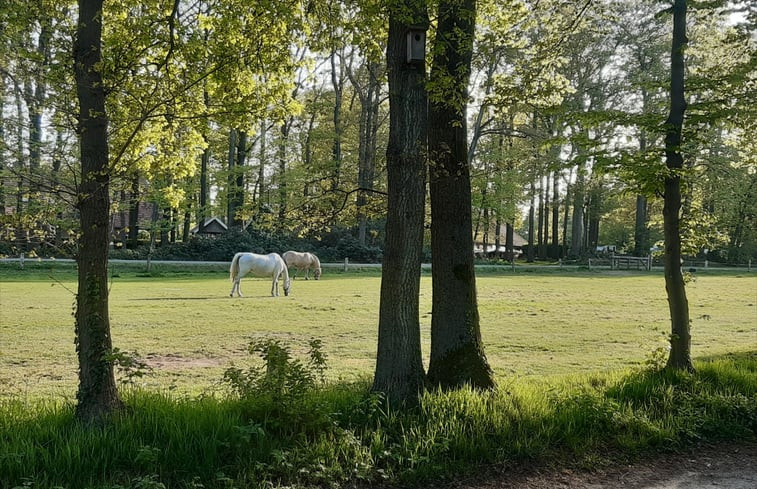 Natuurhuisje in Nutter