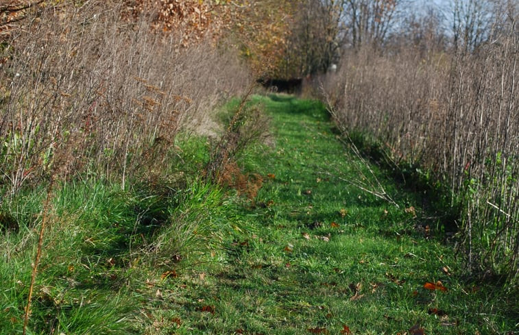 Natuurhuisje in Dalerveen