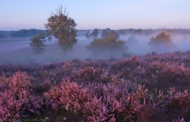 Natuurhuisje in Overasselt