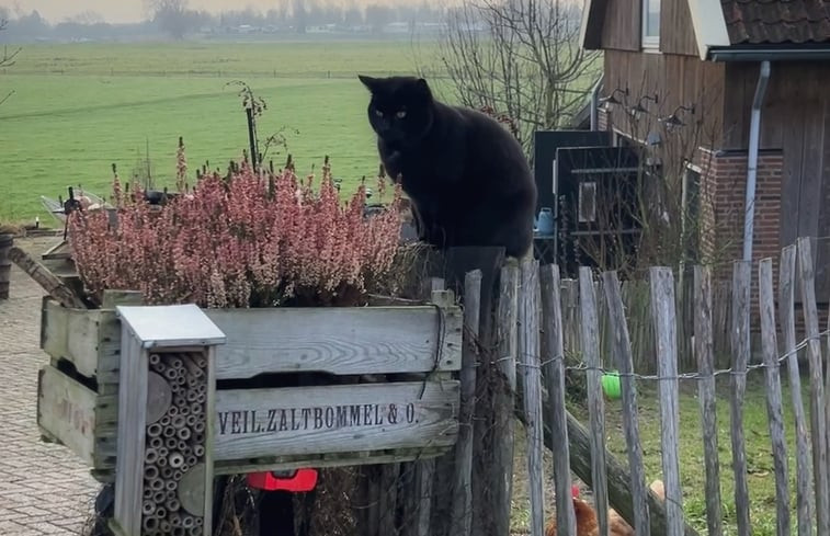 Natuurhuisje in Poederoijen