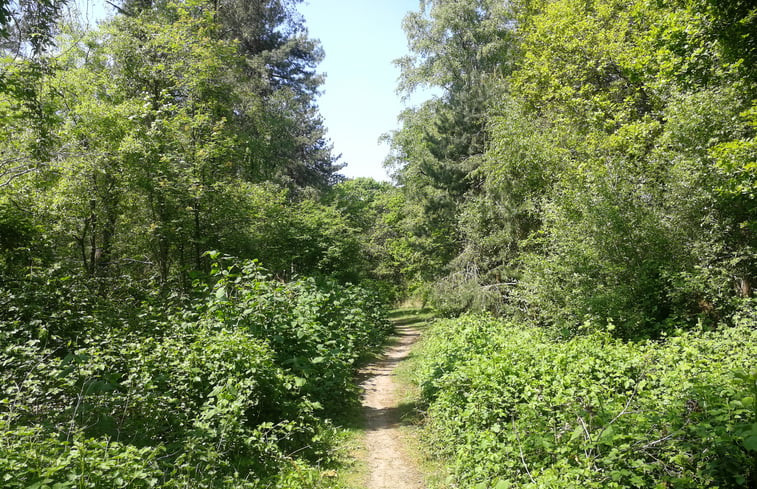 Natuurhuisje in Lage Mierde