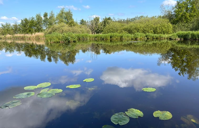 Natuurhuisje in Ankeveen