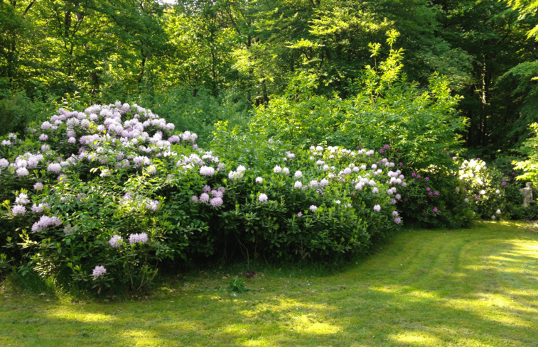 Natuurhuisje in Epse