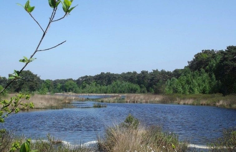 Natuurhuisje in Riethoven