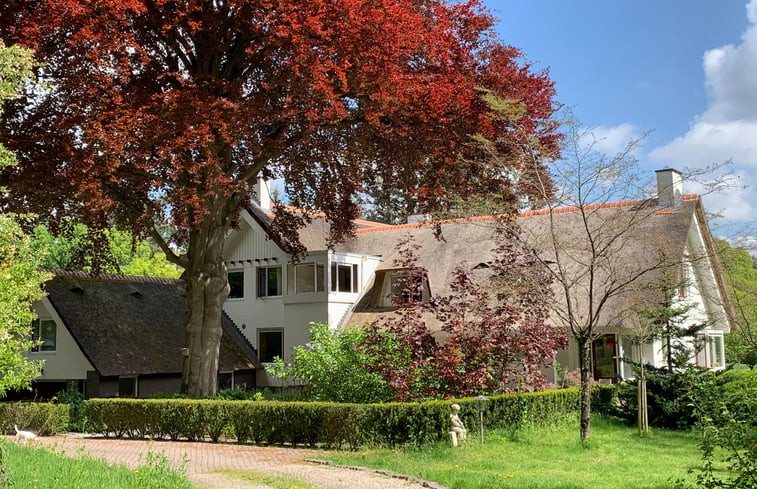 Natuurhuisje in Hattem