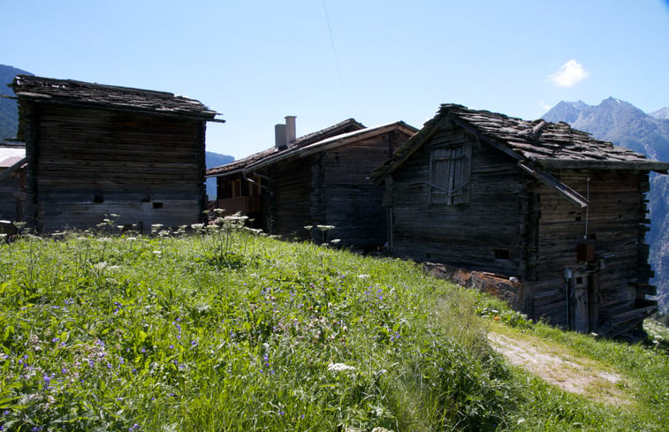 Natuurhuisje in Grächen