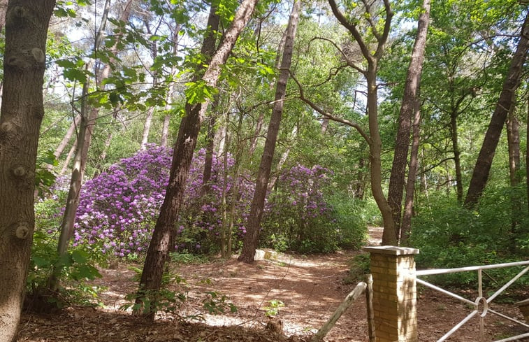 Natuurhuisje in Schijf