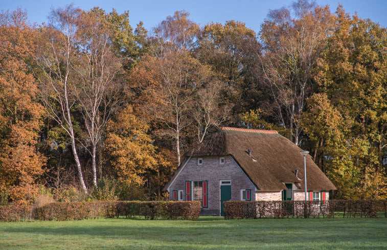 Natuurhuisje in Den Ham