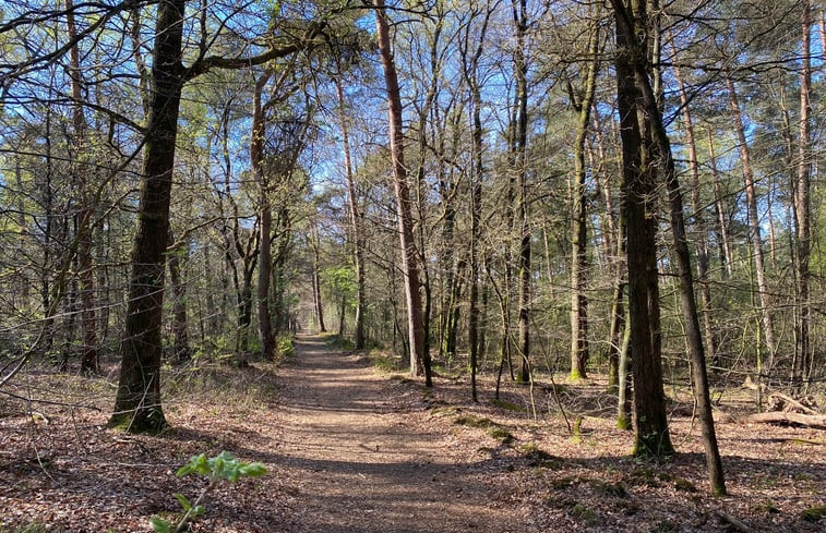 Natuurhuisje in Leersum