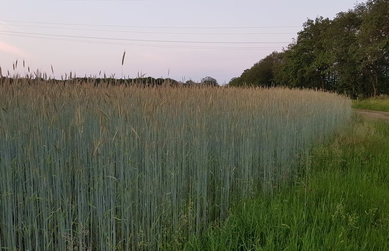 Natuurhuisje in Holten