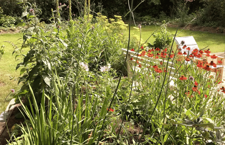 Natuurhuisje in Boijl