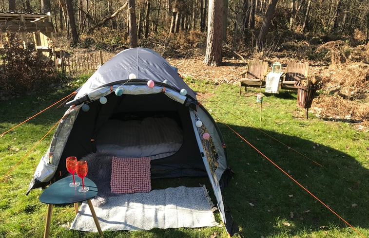 Natuurhuisje in Haaren