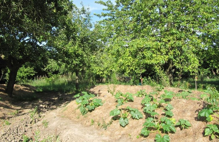 Natuurhuisje in Graauw