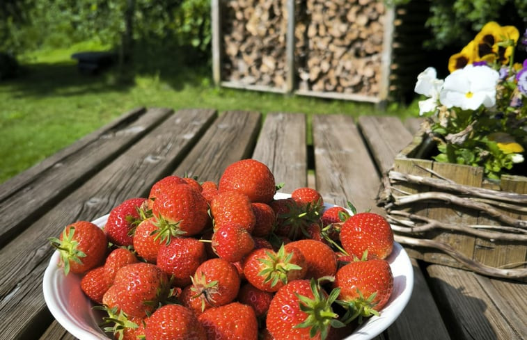 Natuurhuisje in Vriescheloo