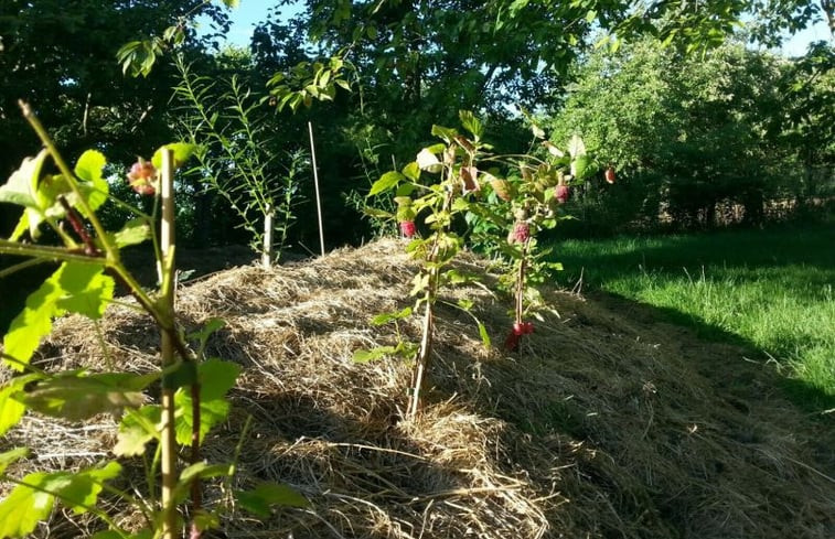 Natuurhuisje in Graauw