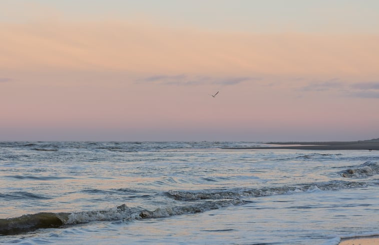 Natuurhuisje in Schiermonnikoog