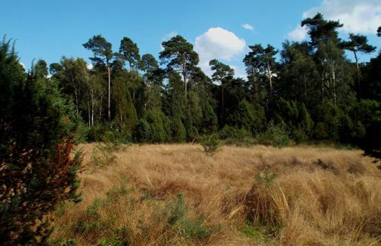 Natuurhuisje in de Lutte