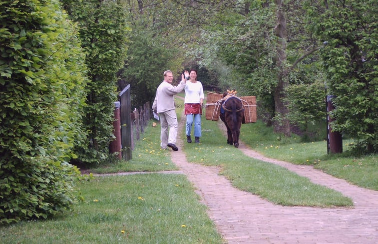 Natuurhuisje in Vorden