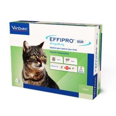 Effipro Duo Spot-On Kat tot 6 kg - 4 pip