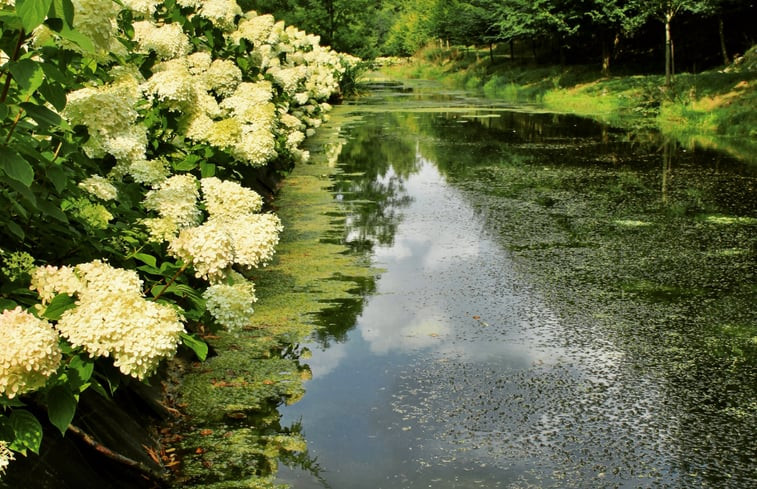 Natuurhuisje in Yves-Gomezée