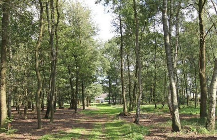 Natuurhuisje in Langenboom