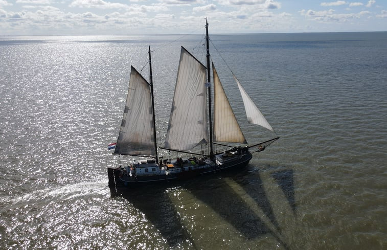 Natuurhuisje in Harlingen