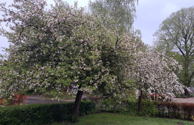 Natuurhuisje in Dalerveen