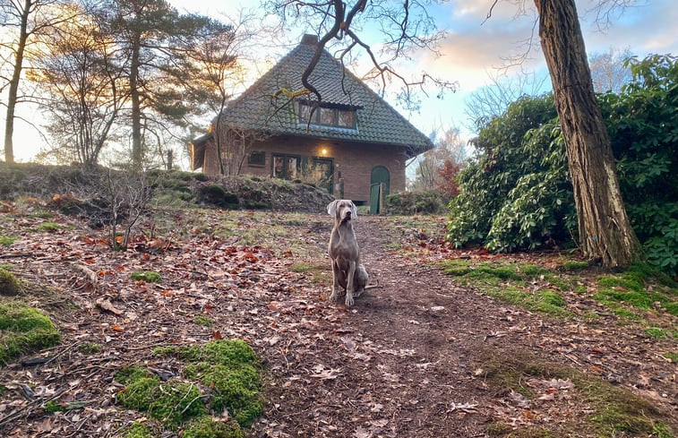 Natuurhuisje in Epe