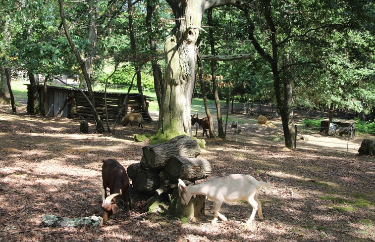 Natuurhuisje in Gensac de boulogne