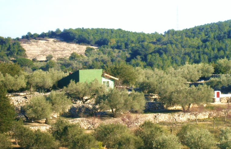 Natuurhuisje in El Perelló