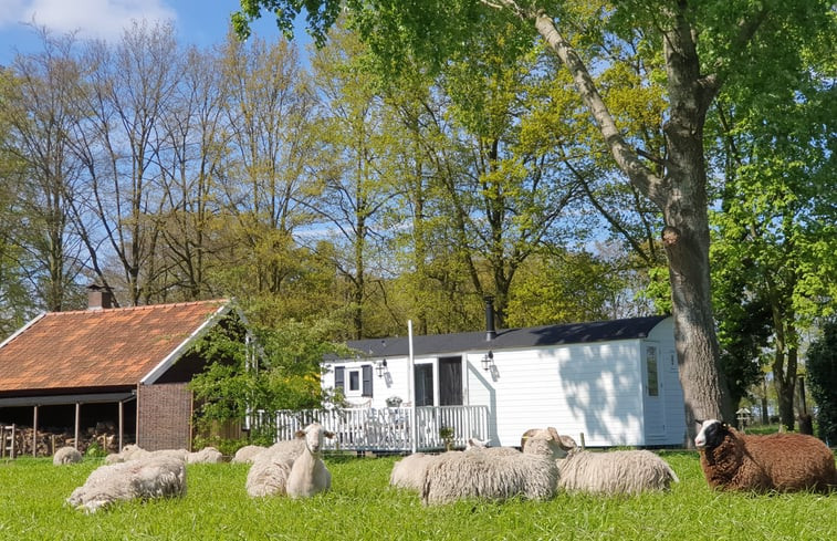 Natuurhuisje in Wezep