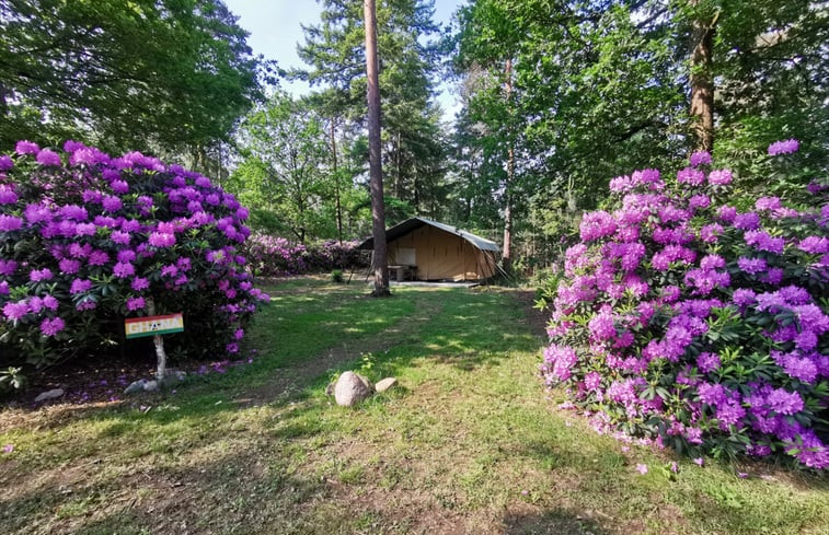 Natuurhuisje in Holten