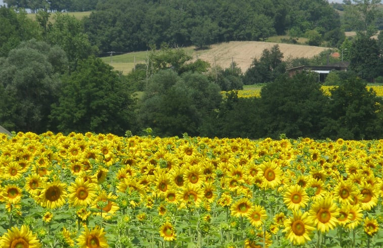 Natuurhuisje in Anan