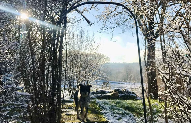 Natuurhuisje in Bussières