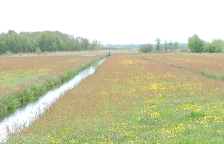 Natuurhuisje in Eernewoude