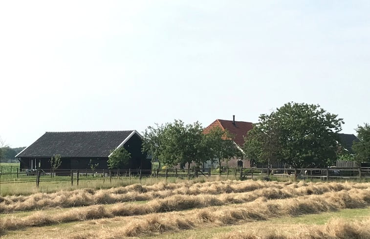 Natuurhuisje in Vorden