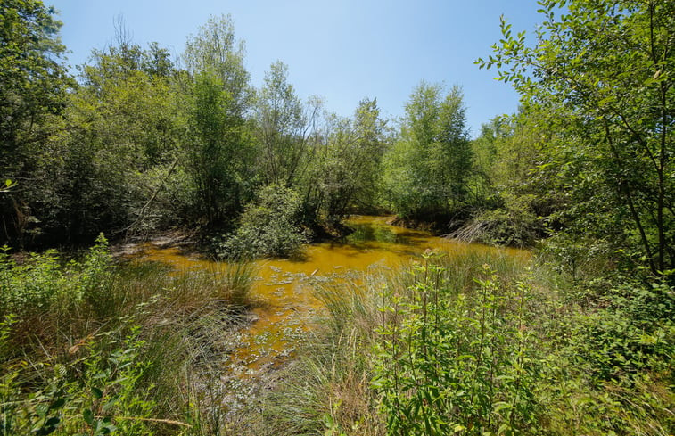 Natuurhuisje in Saint Plaisir