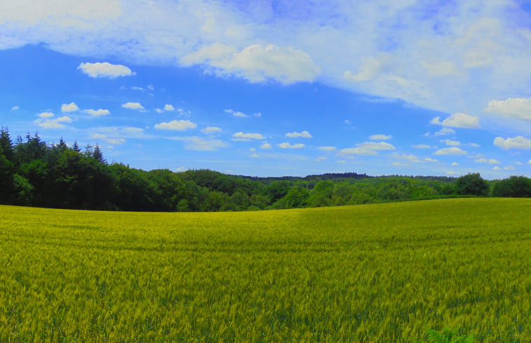 Natuurhuisje in Ploerdut