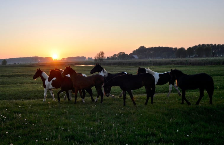 Natuurhuisje in Deinum