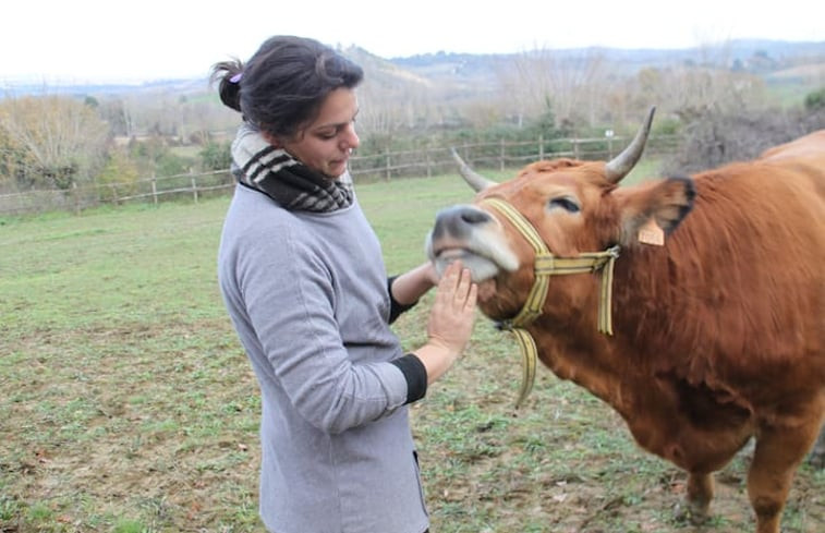 Natuurhuisje in Rapolano Terme