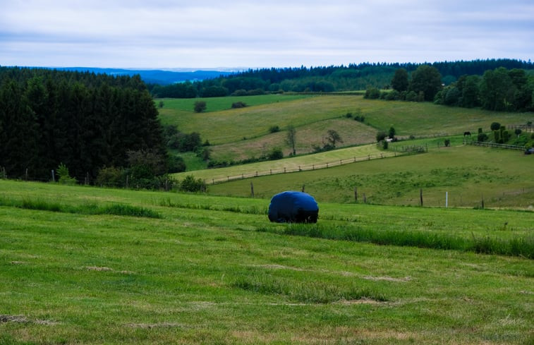 Natuurhuisje in Büllingen