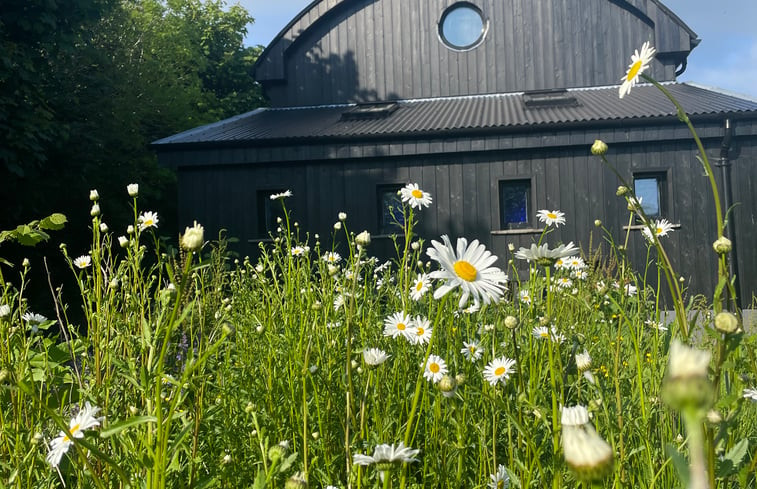 Natuurhuisje in The HayShed