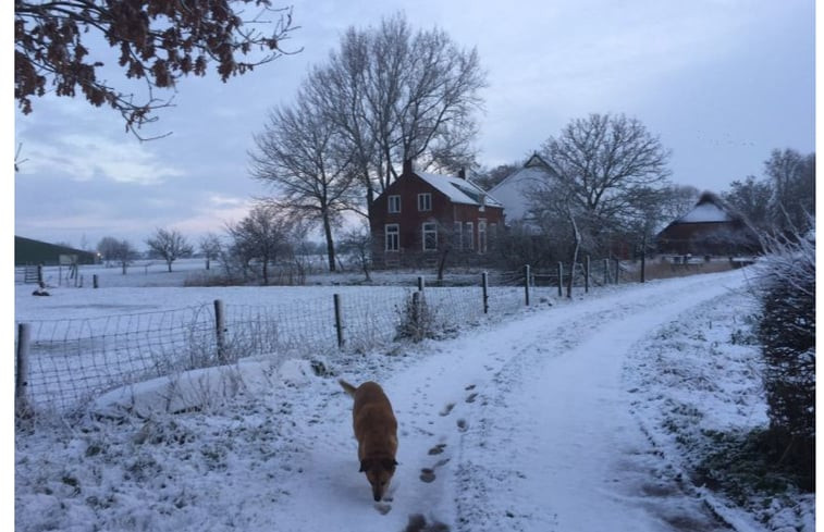 Natuurhuisje in Winsum