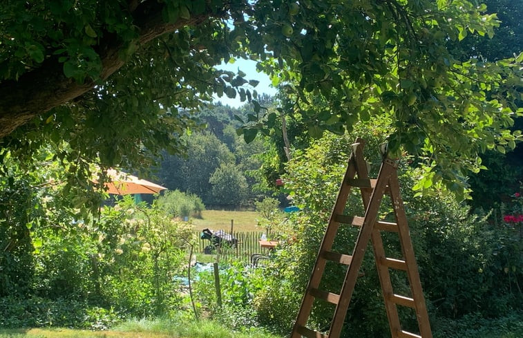 Natuurhuisje in Afferden