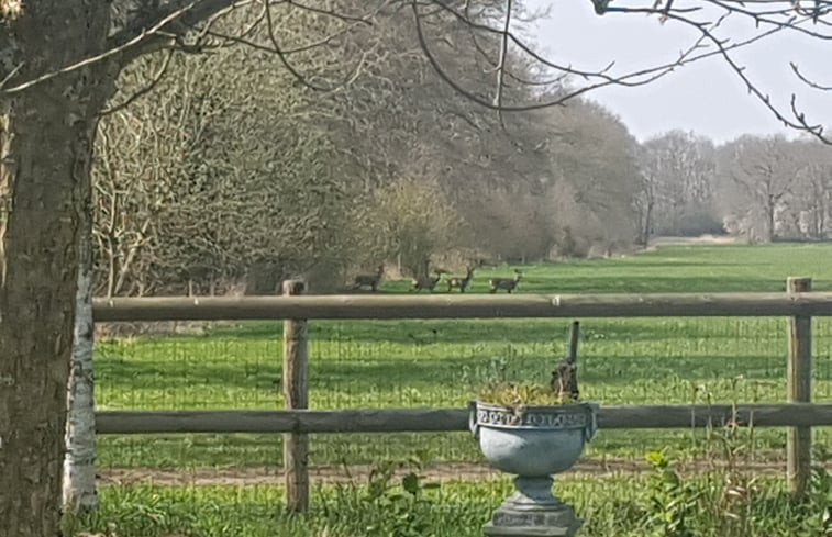 Natuurhuisje in Dieverbrug