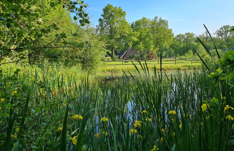 Natuurhuisje in Maarsbergen