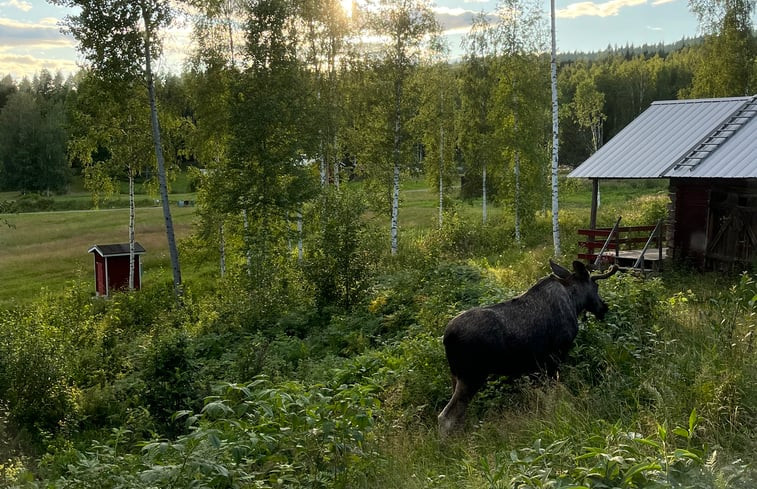 Natuurhuisje in Vadjetorp, Torsby