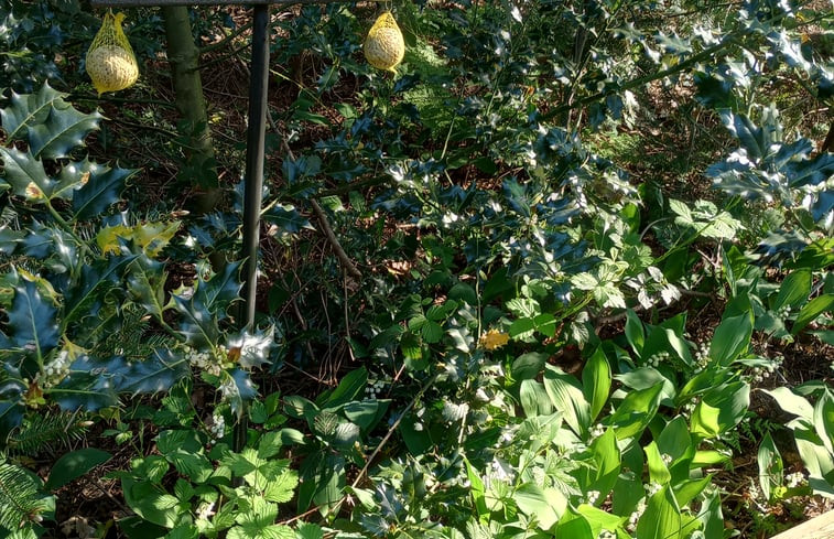 Natuurhuisje in Eeserveen