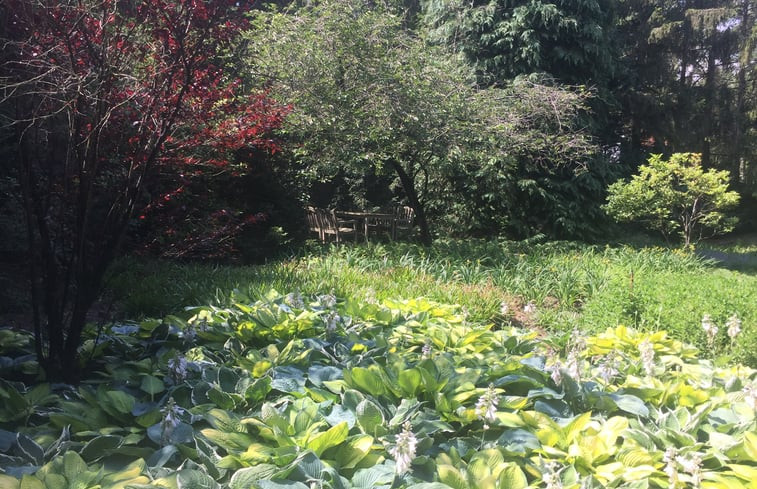 Natuurhuisje in Uelsen